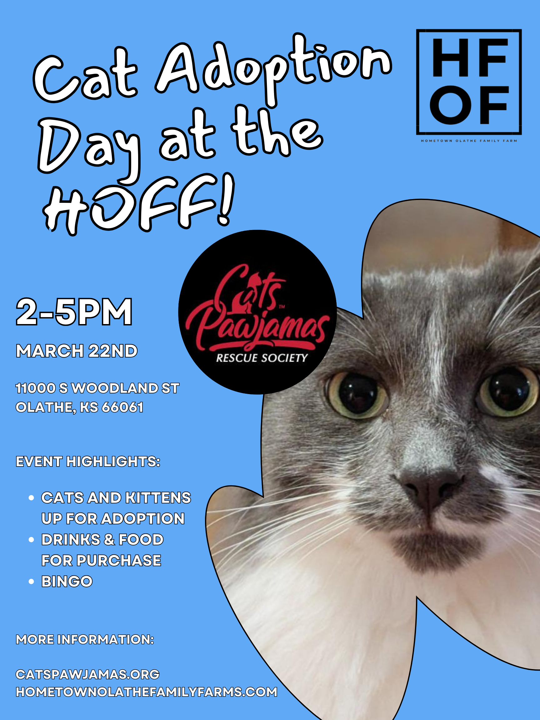 Bingo Sunday and Cat Adoptions at the HOFF