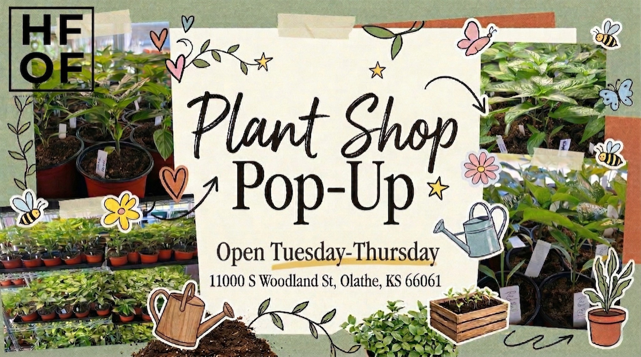 HOFF Plant Shop Pop-Up 🌿