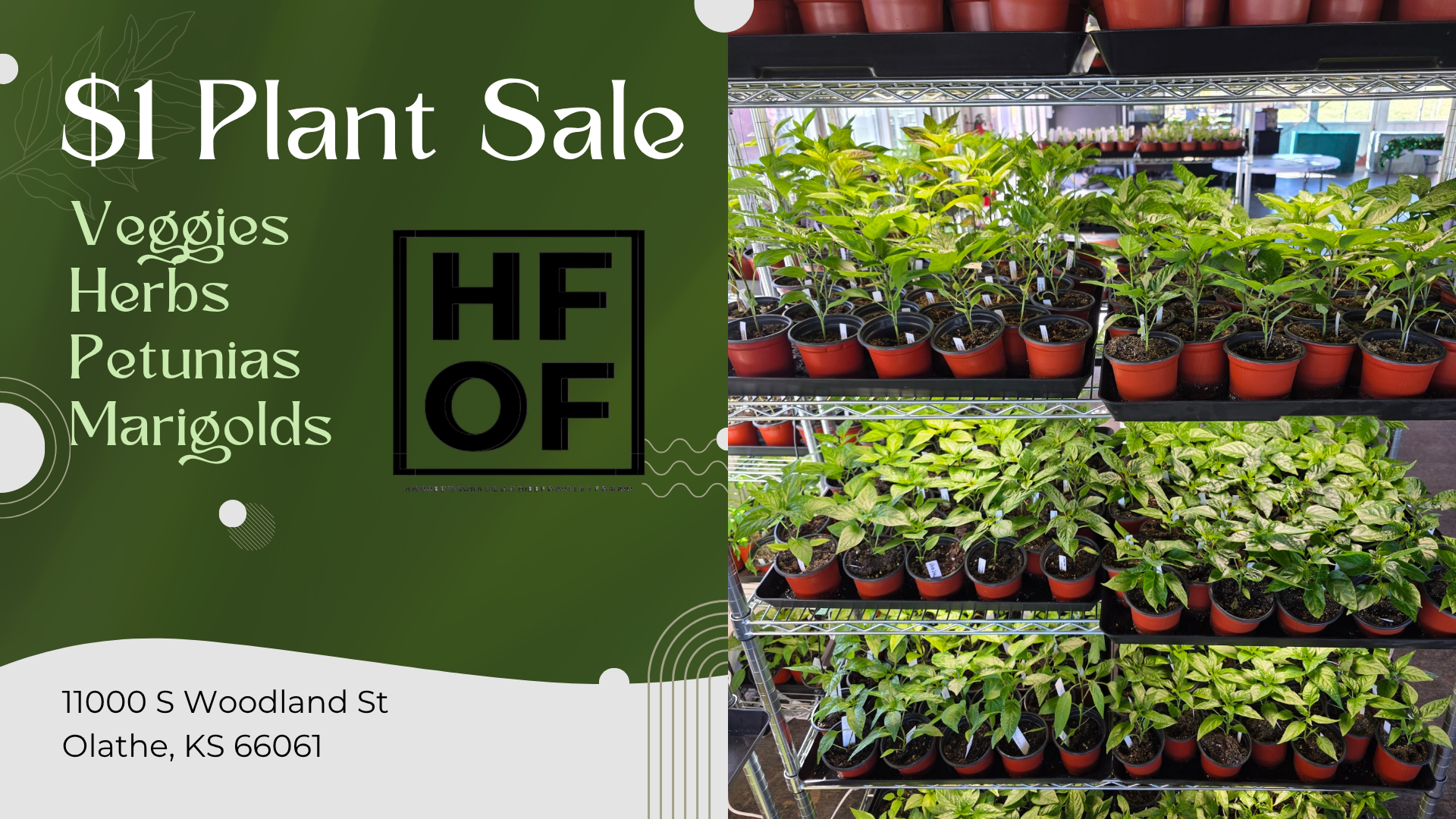 🌱 $1 PLANT SALE AT HOFF 🌱