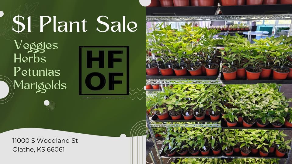 🌱 $1 PLANT SALE AT HOFF 🌱