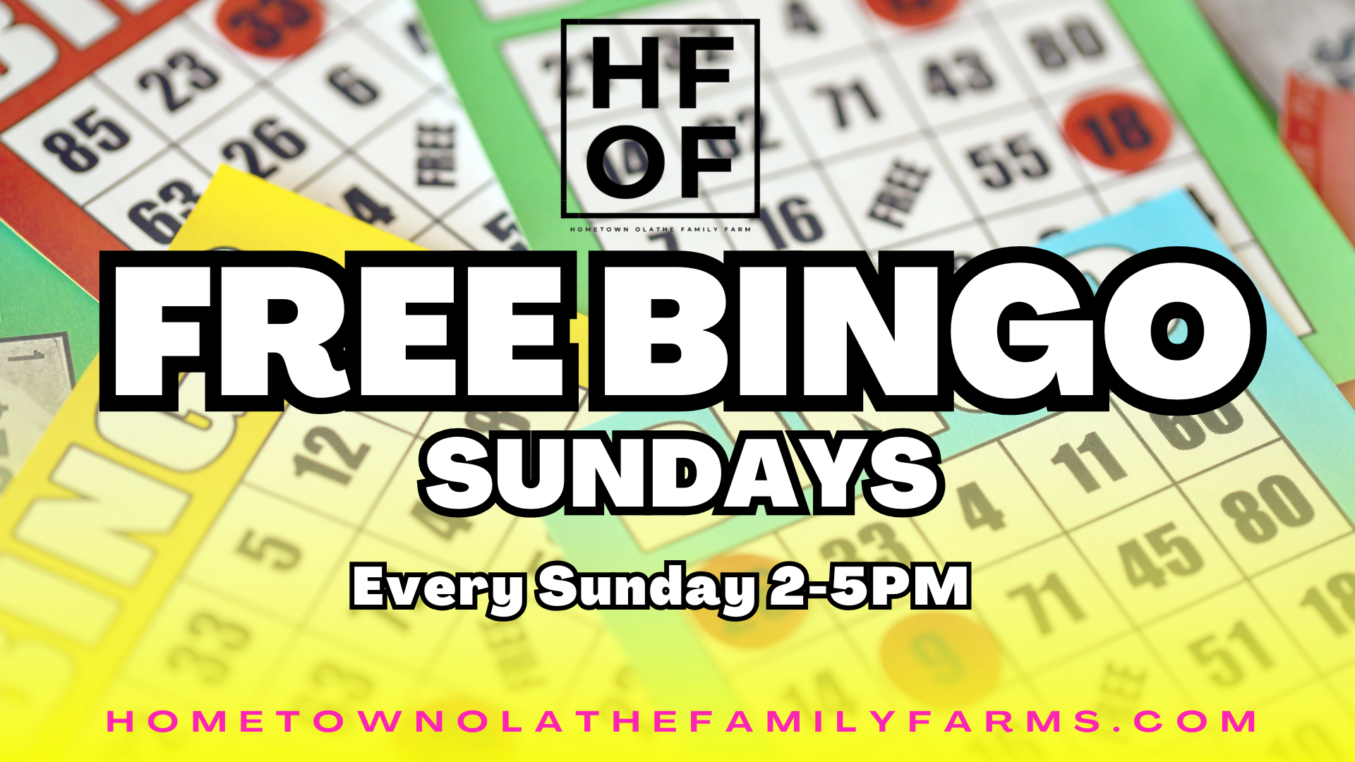 Bingo Sundays!
