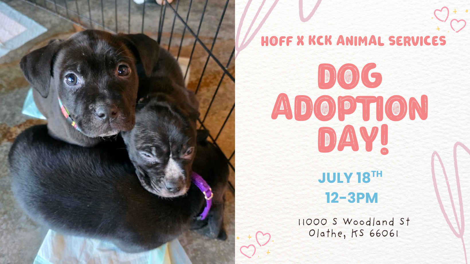 Dog Adoption Day with KCK Animal Services