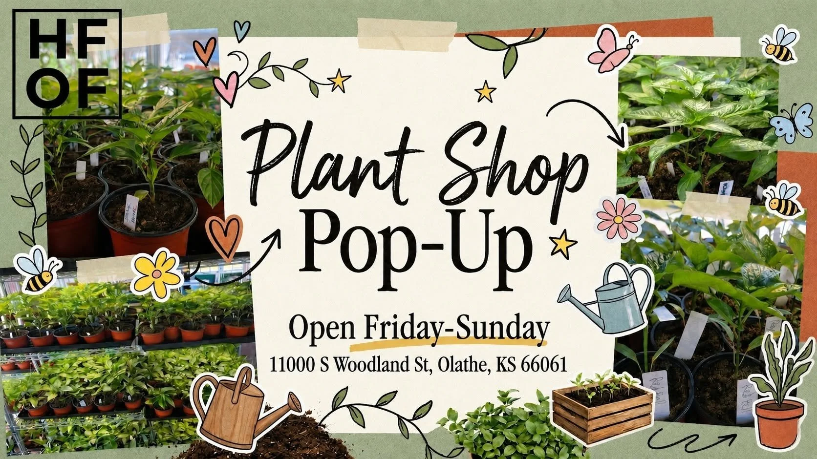 HOFF Plant Shop Pop-Up 🌿