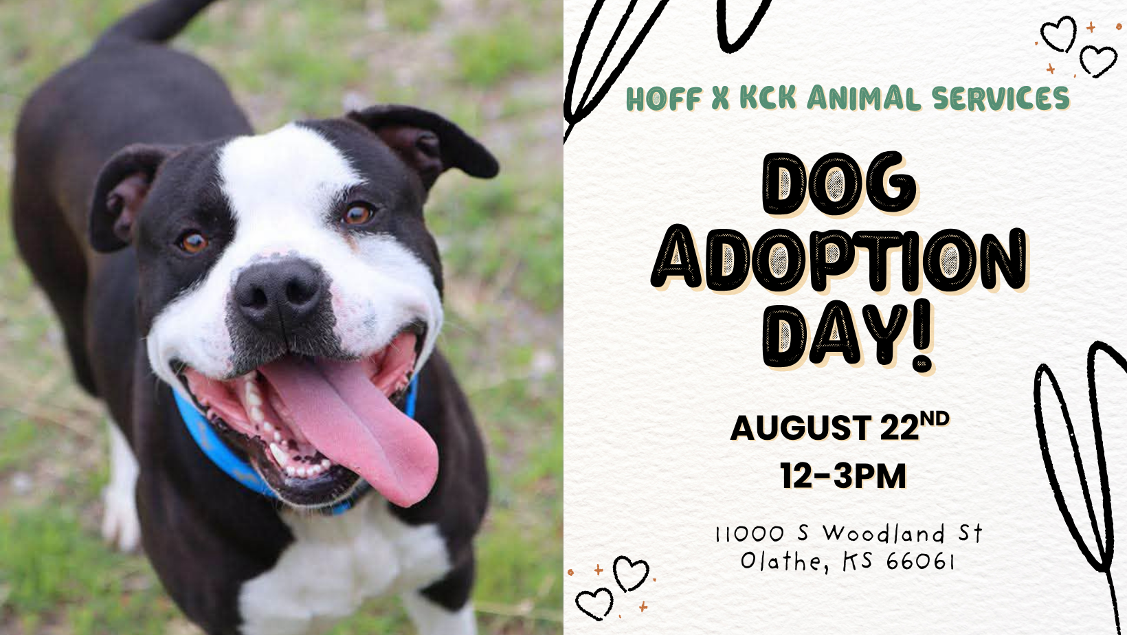 Dog Adoption Day with KCK Animal Services | August 22