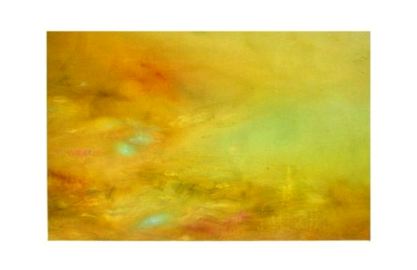 For wonder to break in, Oil on Canvas, 100 x 66 cm