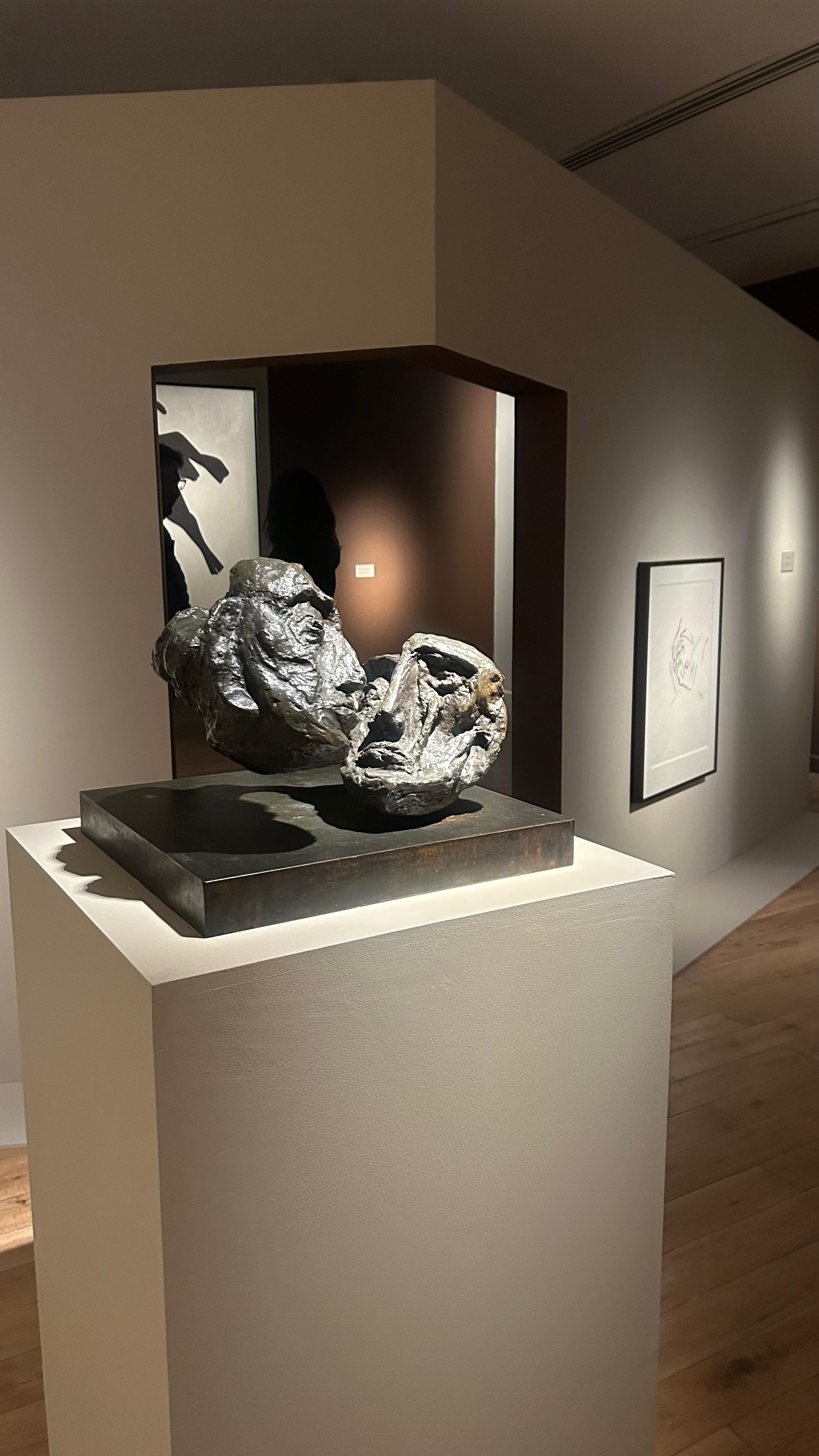 India Art Fair 2026 in New Delhi: A Three-Day Diary of Art Week in Delhi 2026