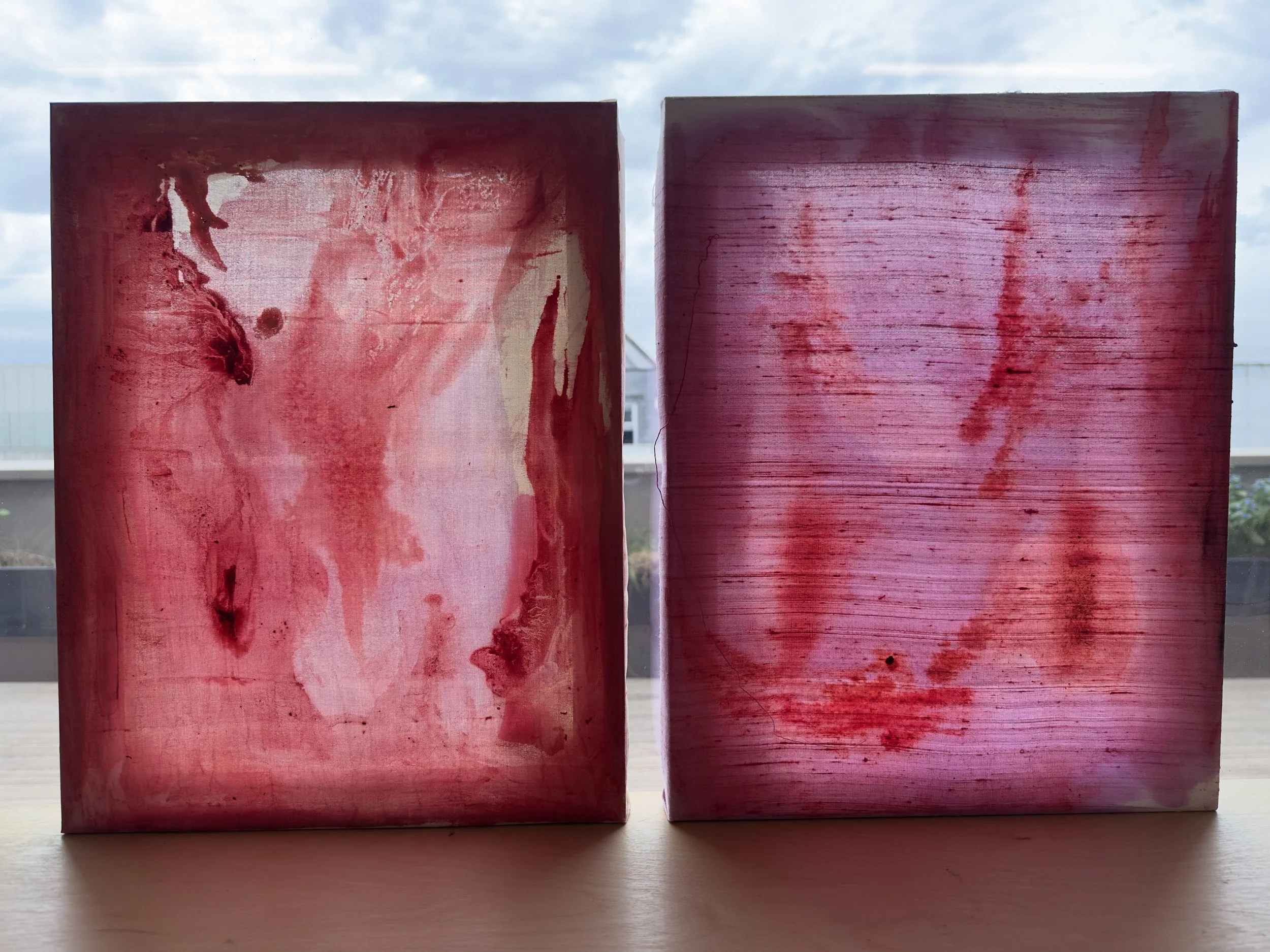 Mohini Kaur, Kali Series Meso Mag Meso Ventures