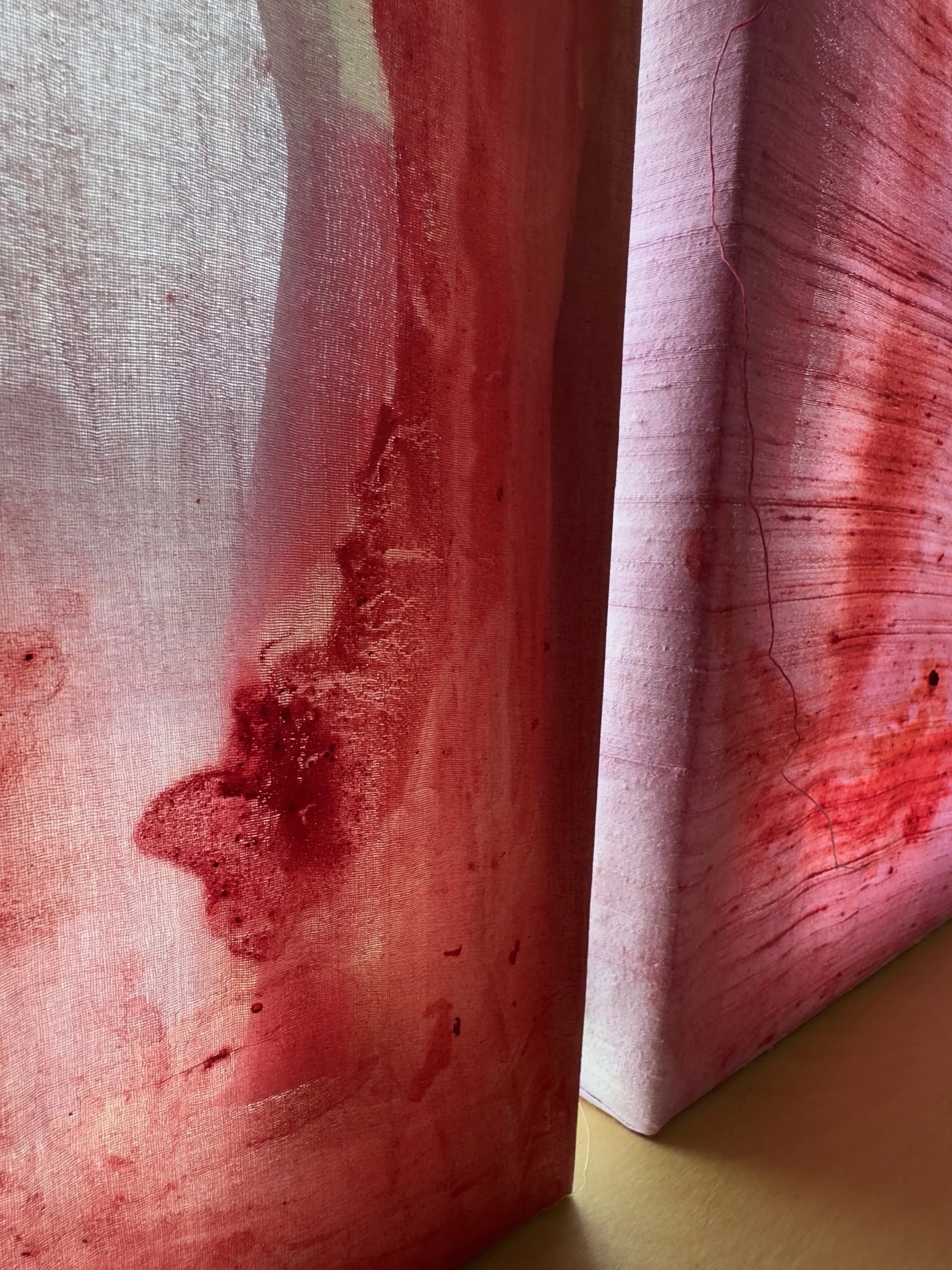 Mohini Kaur, Kali Series Meso Mag Meso Ventures 3