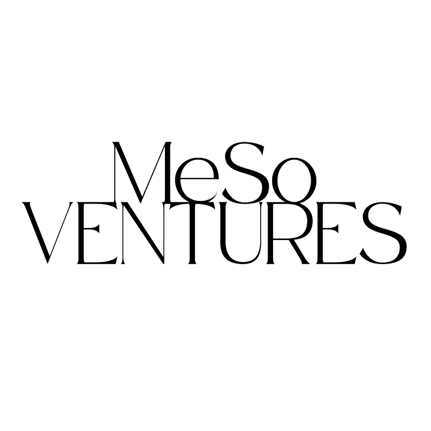MeSo Ventures