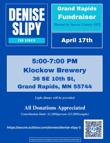 Denise Slipy for Senate Grand Rapids Fundraiser