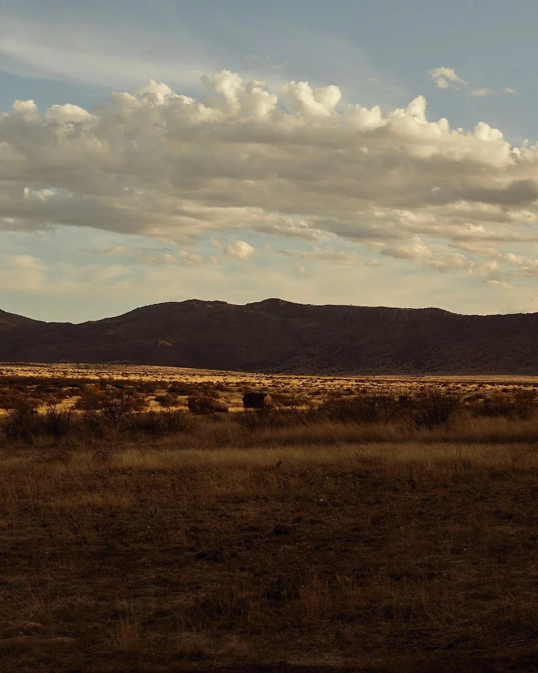 Open landscape with dry grass and sparse bushes, distant hills or mountains, and a sky filled with large fluffy clouds.