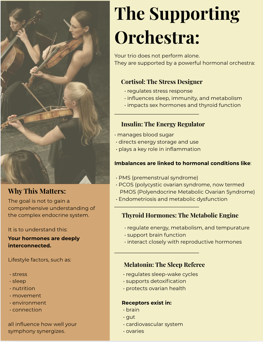 Supporting Orchestra.png