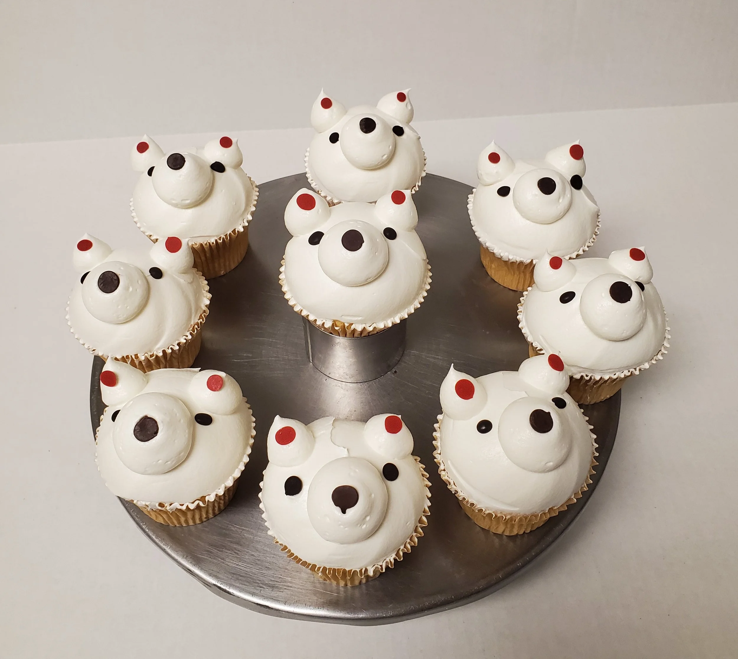 Polar bear extras.jpg