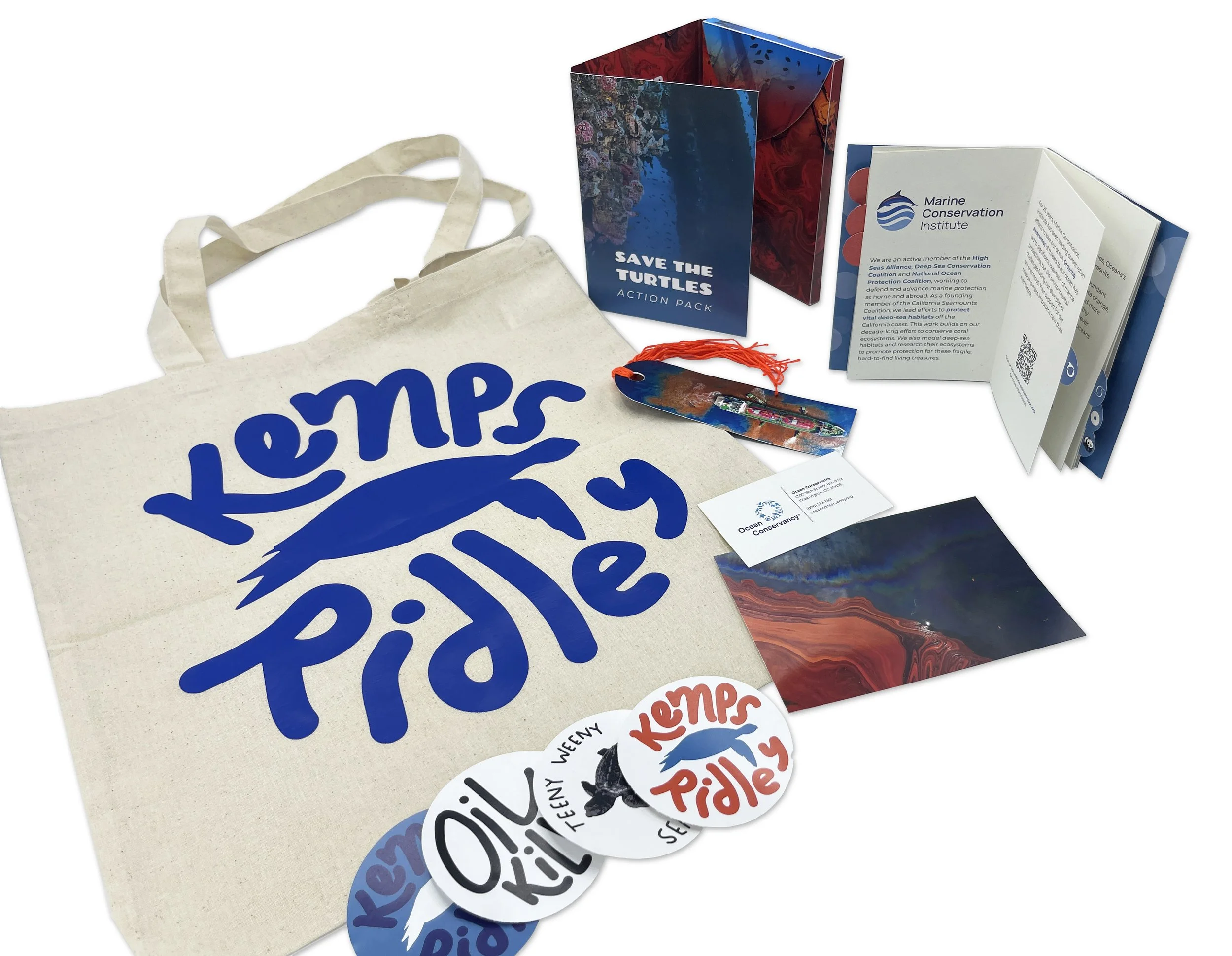Objects related to marine conservation including a reusable tote bag with blue text, a booklet titled 'Save the Turtles Action Pack', informational brochures, stickers, and a decorative rock with colorful paint.