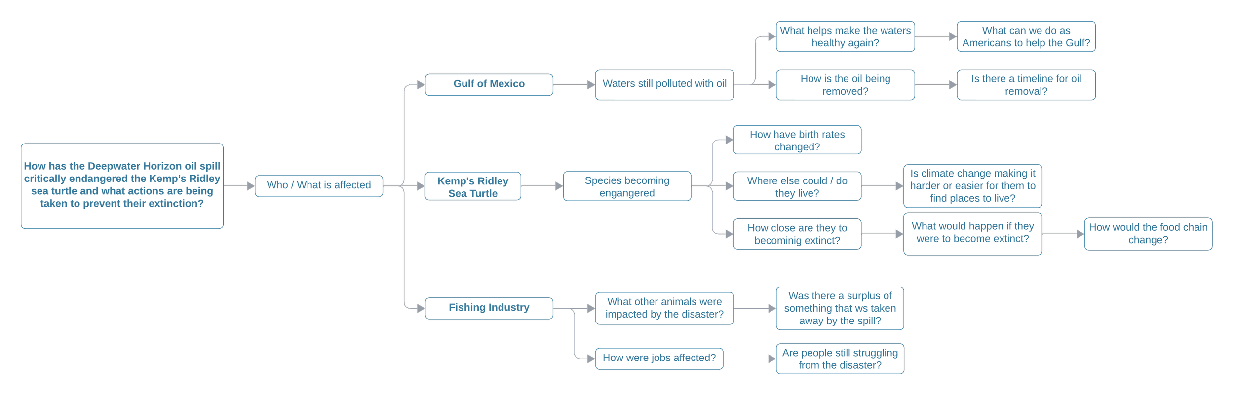 Flowchart outlining the environmental and economic impacts of the Deepwater Horizon oil spill, including effects on the Kemp's Ridley sea turtle and fishing industry.