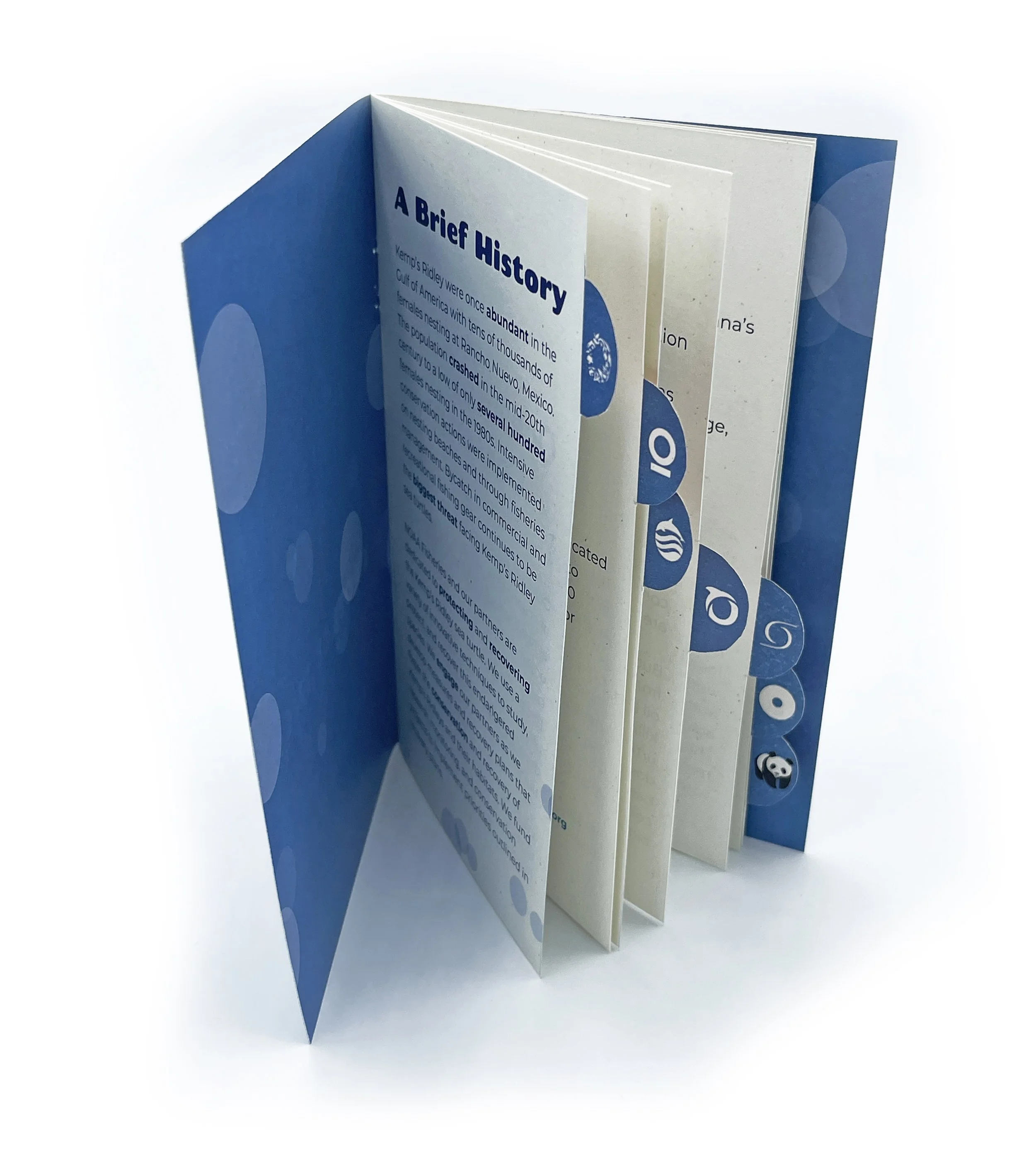 Brochure with the title 'A Brief History' and informational text inside a partially opened blue folder against a white background.