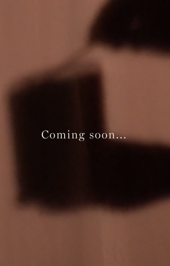 Fall Collection Teaser Pin, 18.2K Views & 1.4K Pin Clicks