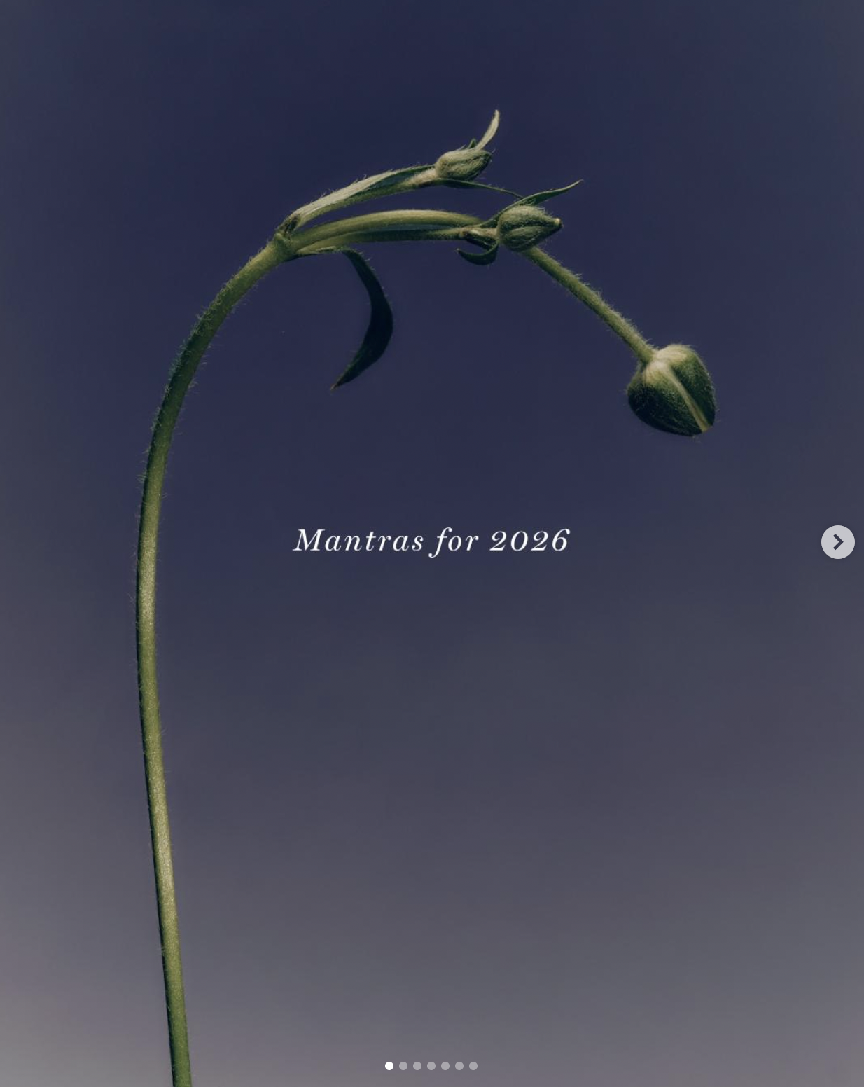 2026 Mantras Carousel, 116K Views & 9.6% Engagement