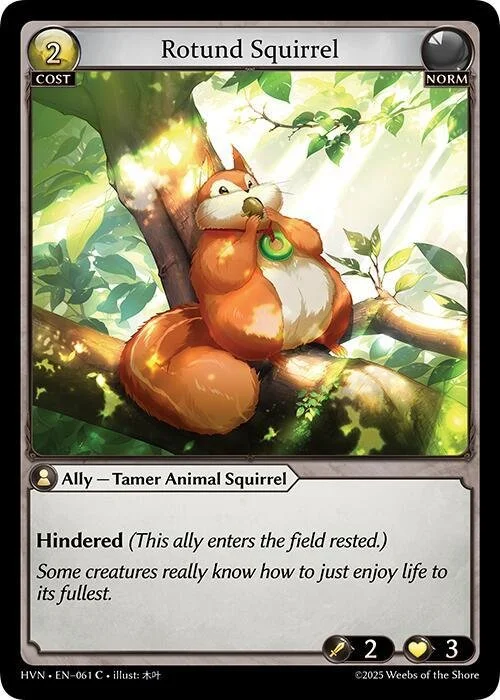 Rotund Squirrel NM