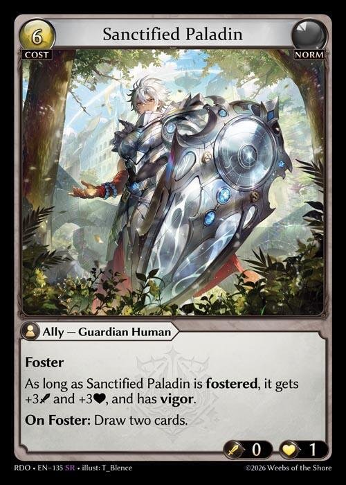 Sanctified Paladin NM