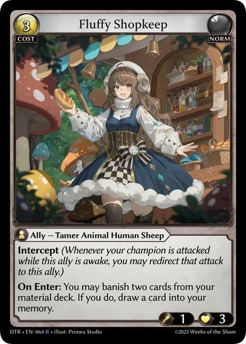 Fluffy Shopkeep.jpg