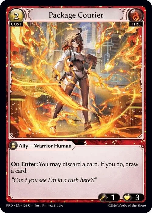 Package Courier NM