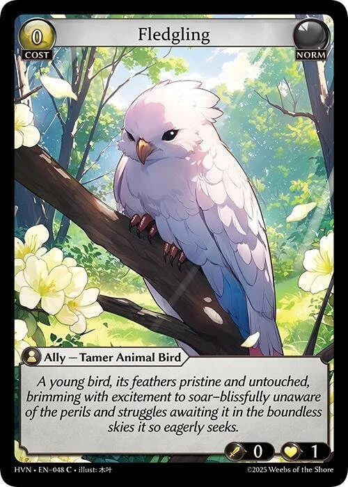 Fledgling NM