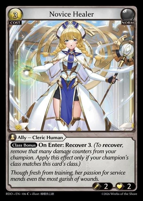 Novice Healer NM