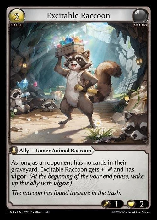 Excitable Raccoon NM
