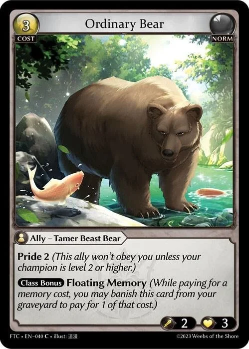 Ordinary Bear.jpg