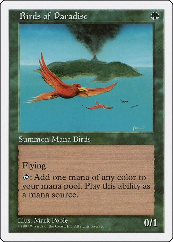 Birds of Paradise.jpg