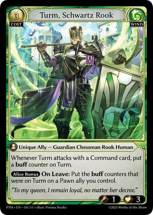 Turm, Schwartz Rook Foil NM
