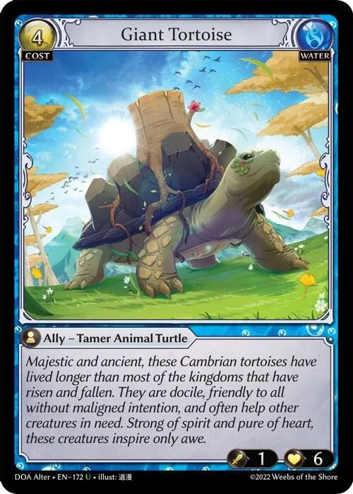 Giant Tortoise.jpg
