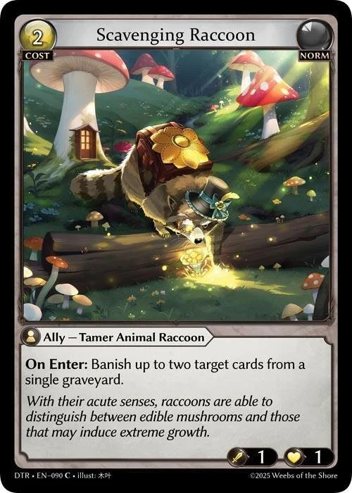 Scavenging Raccoon.jpg