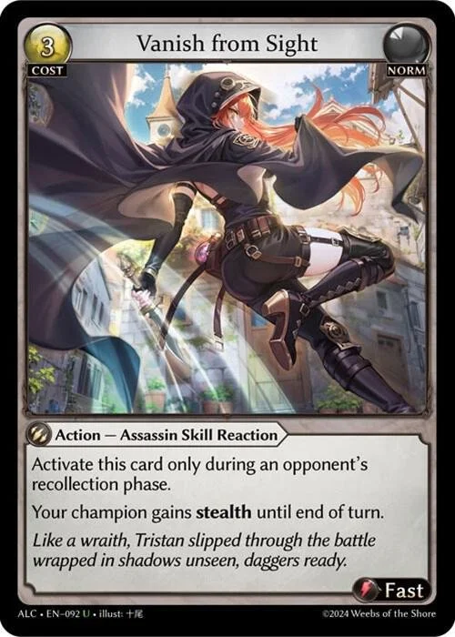 Vanish from Sight.jpg