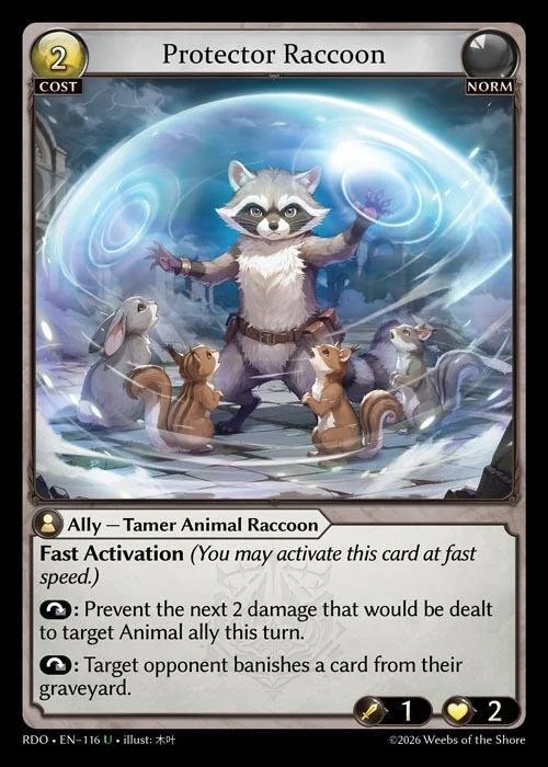 Protector Raccoon.jpg