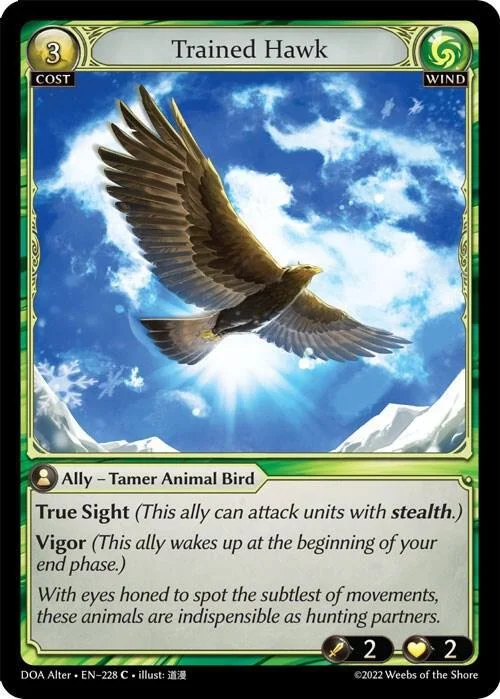 Trained Hawk.jpg