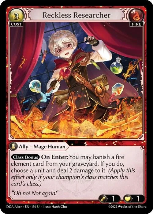 Reckless Researcher.jpg