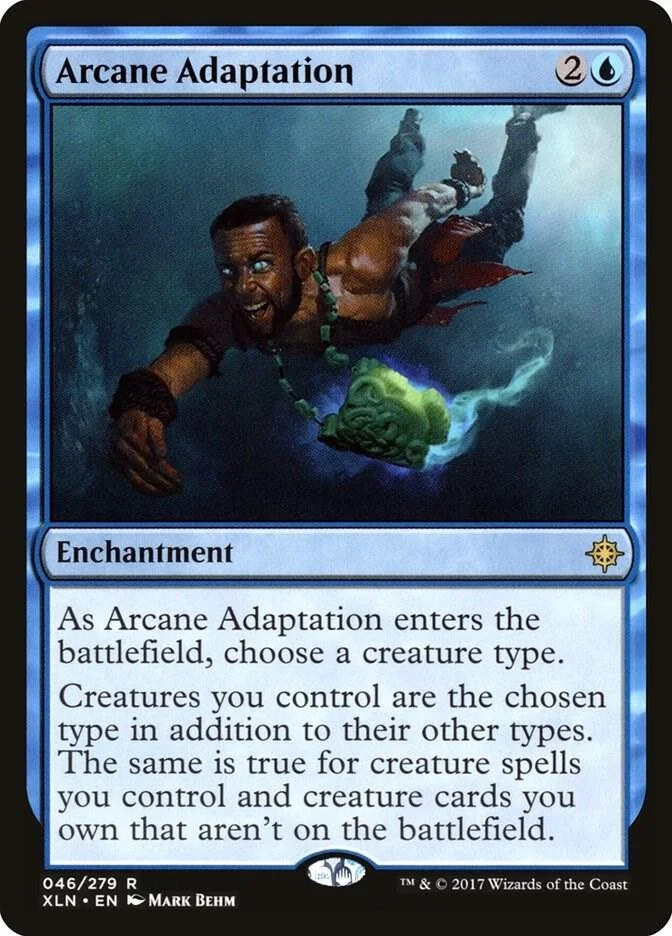 Arcane Adaptation.jpg