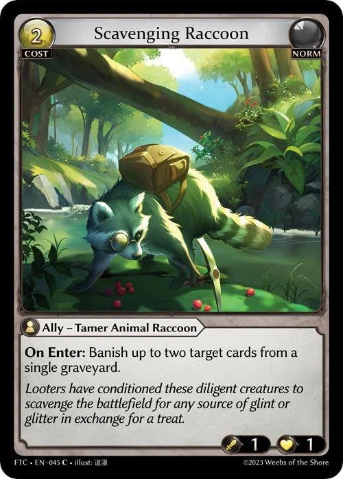 Scavenging Raccoon.jpg