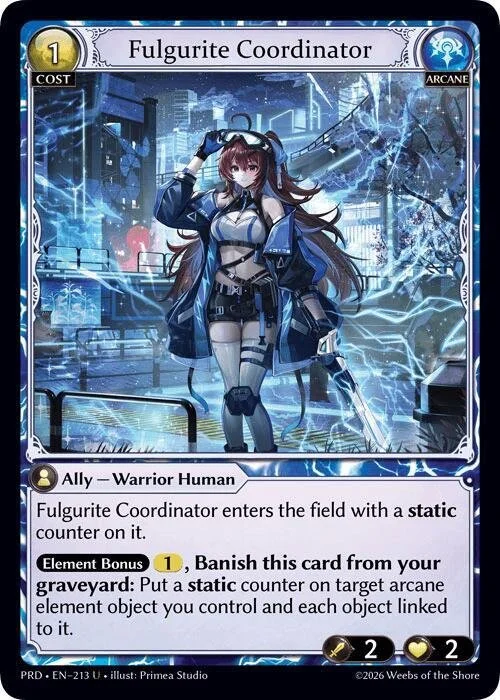 Fulgurite Coordinator NM