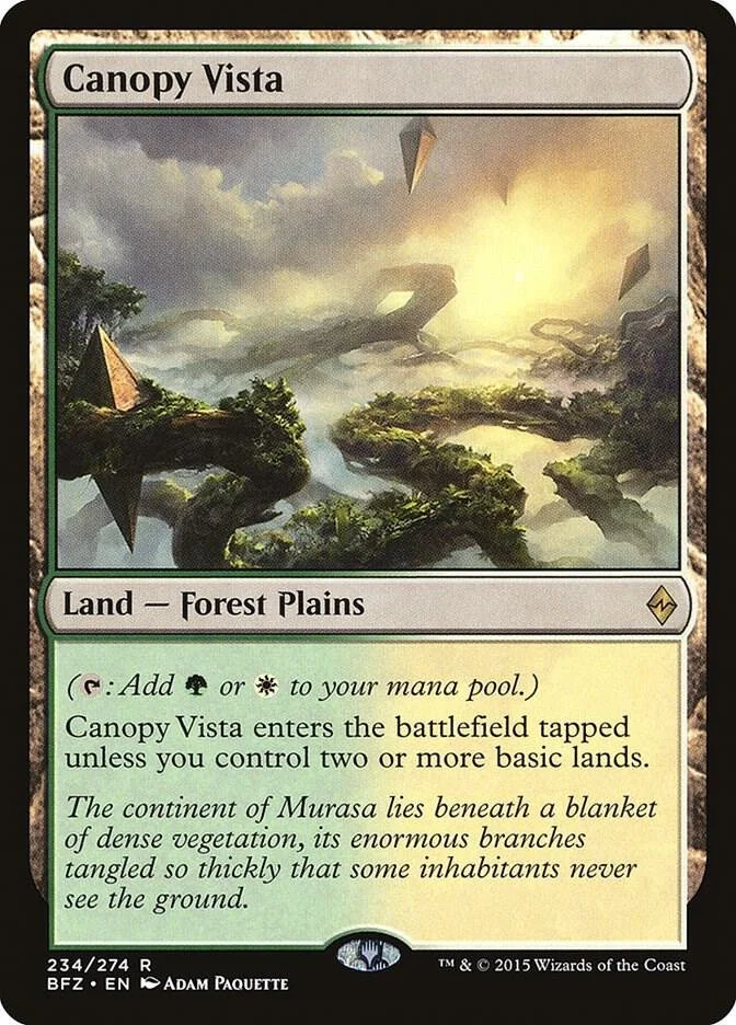 Canopy Vista.jpg