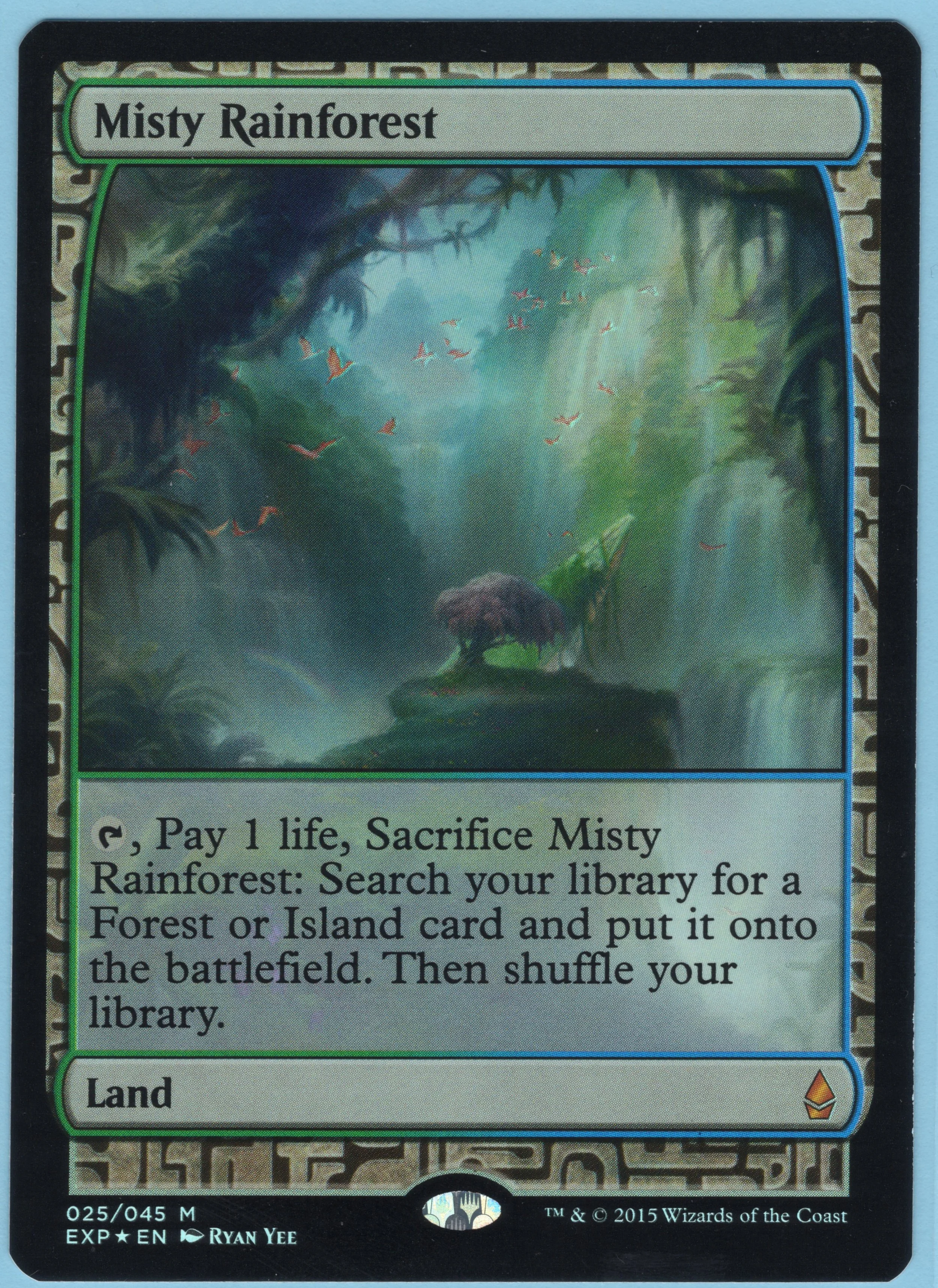 Misty Rainforest.jpg