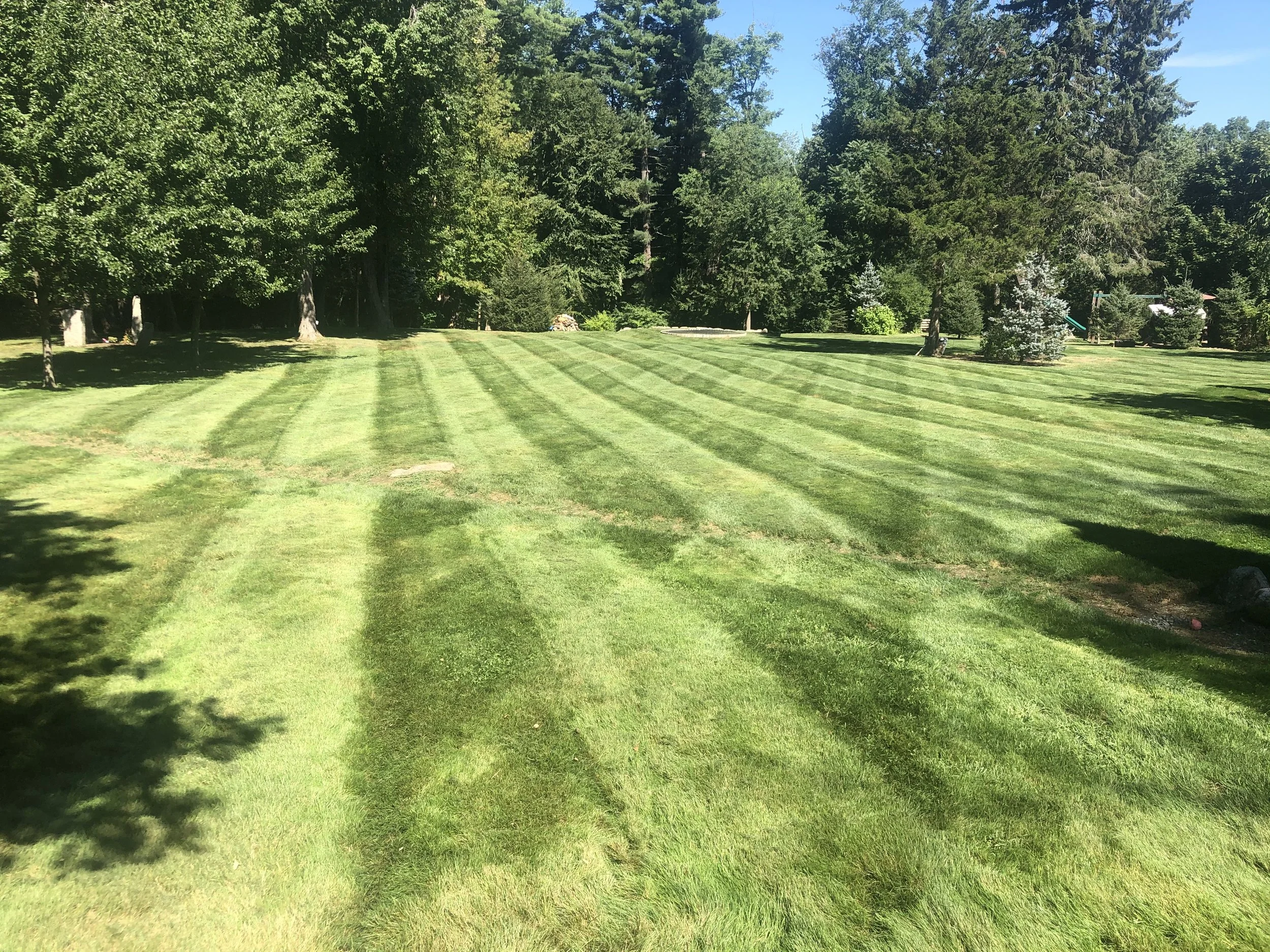 PROPERTY-MAINTENANCE