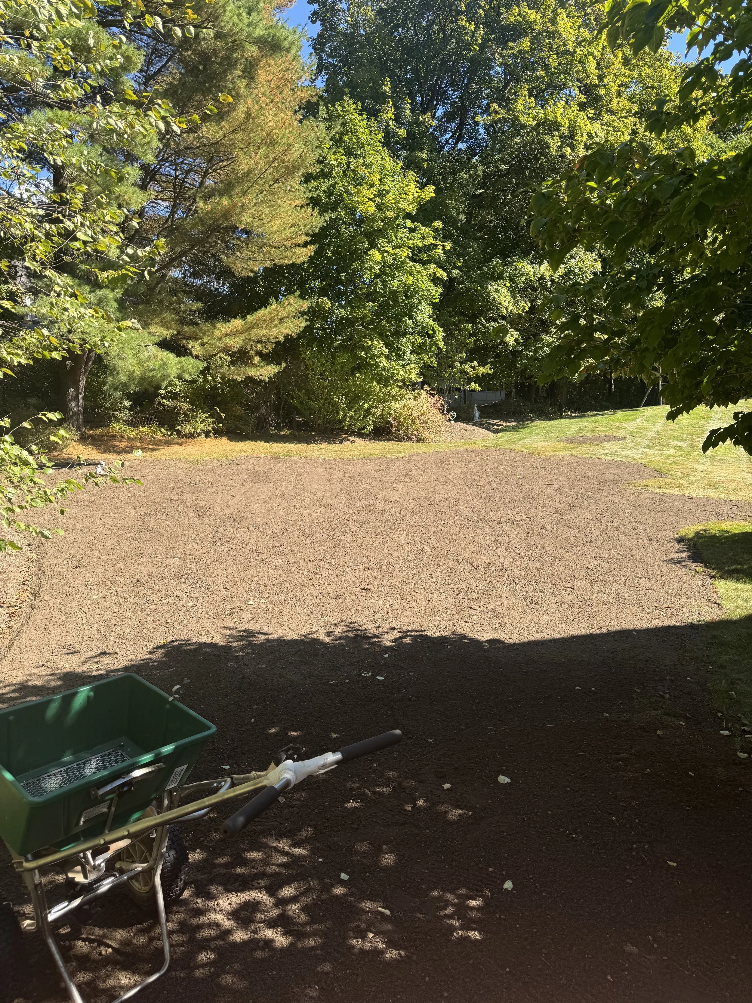 Garden area with shrubs, flowering plants, and a light gray house with two windows. Rock border and mulch visible in the foreground.