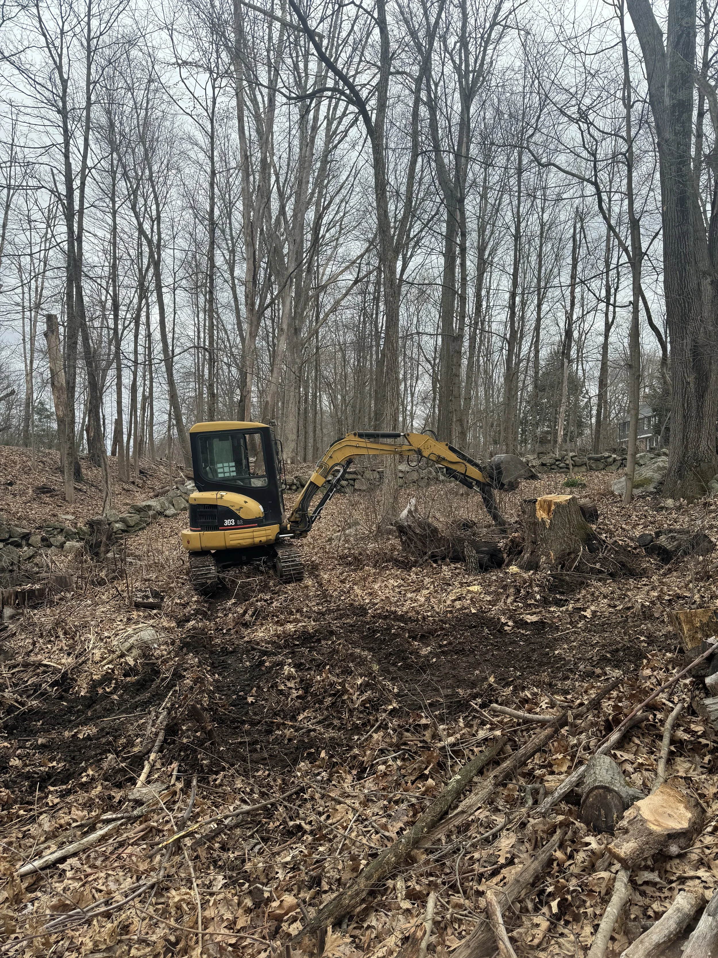Overgrown foliage surrounding an old, rusty utility vehicle parked in a driveway next to a blue house.