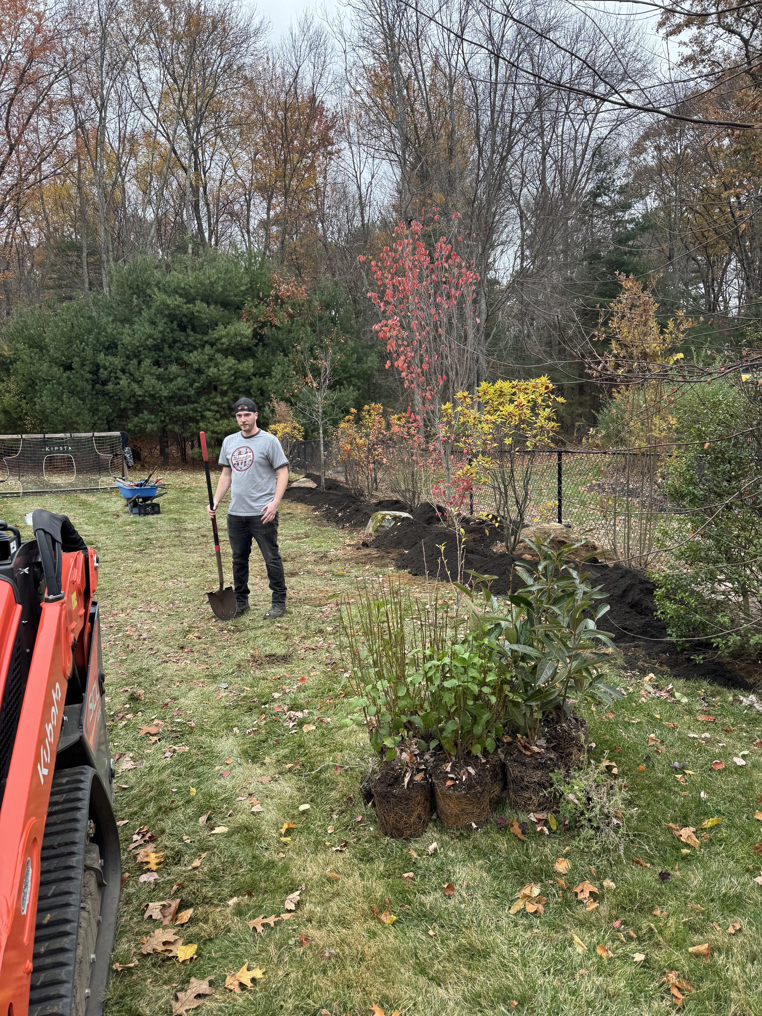 Newly planted tree with pink flowers in a garden bed against a white house exterior, featuring windows and a garden spade.