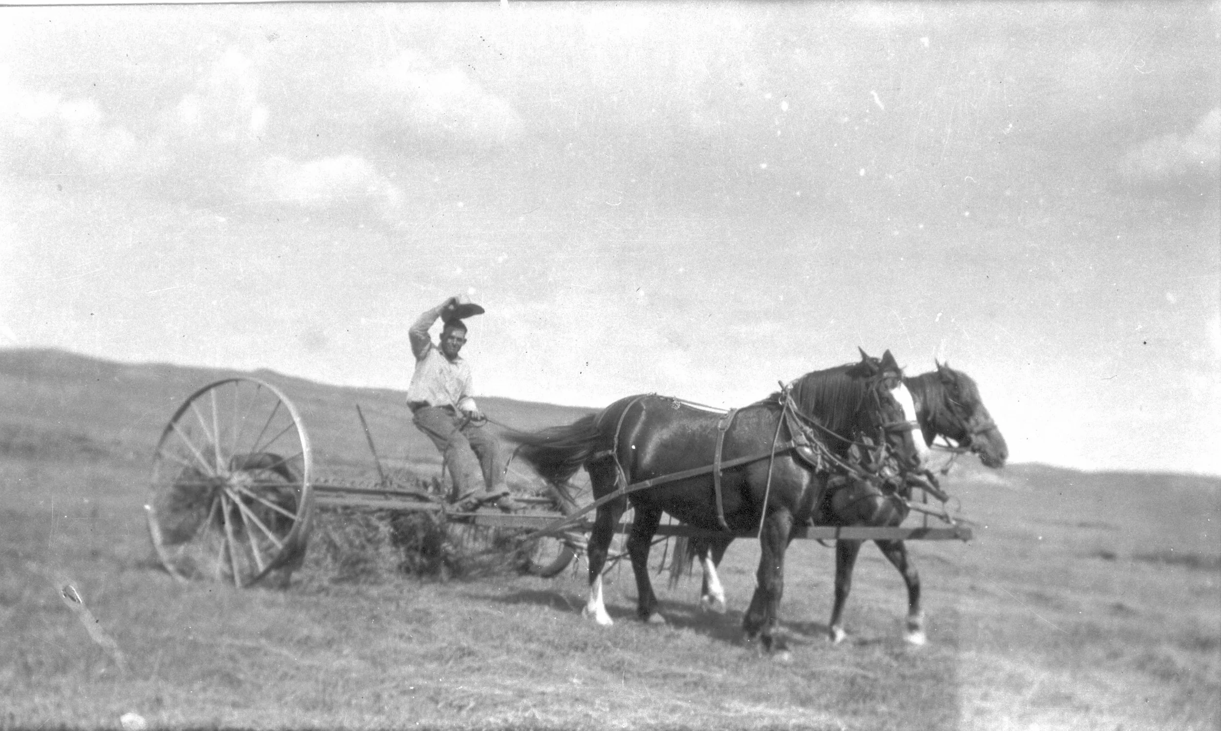The Bar Q Ranch