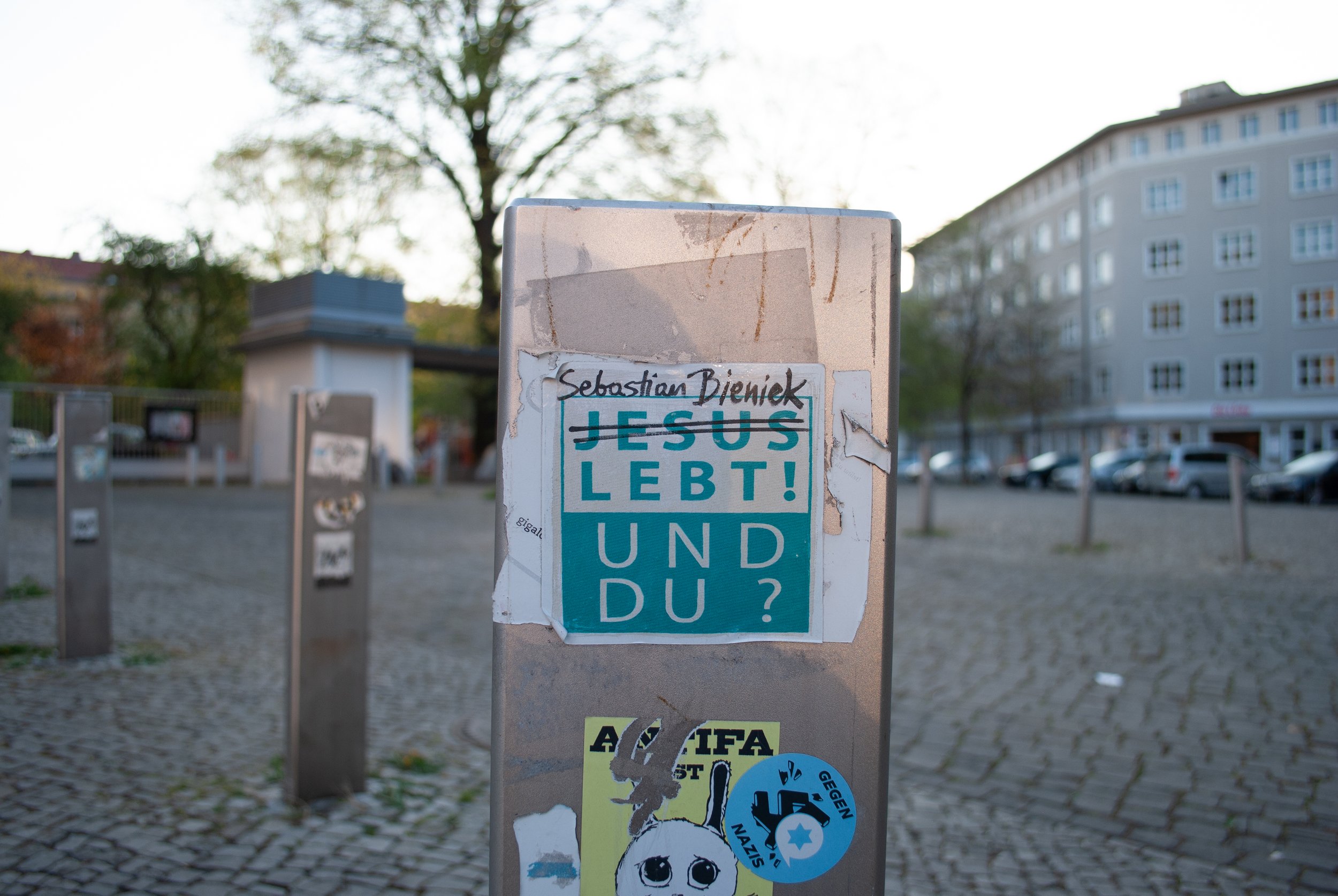 DSC_0309.jpg
