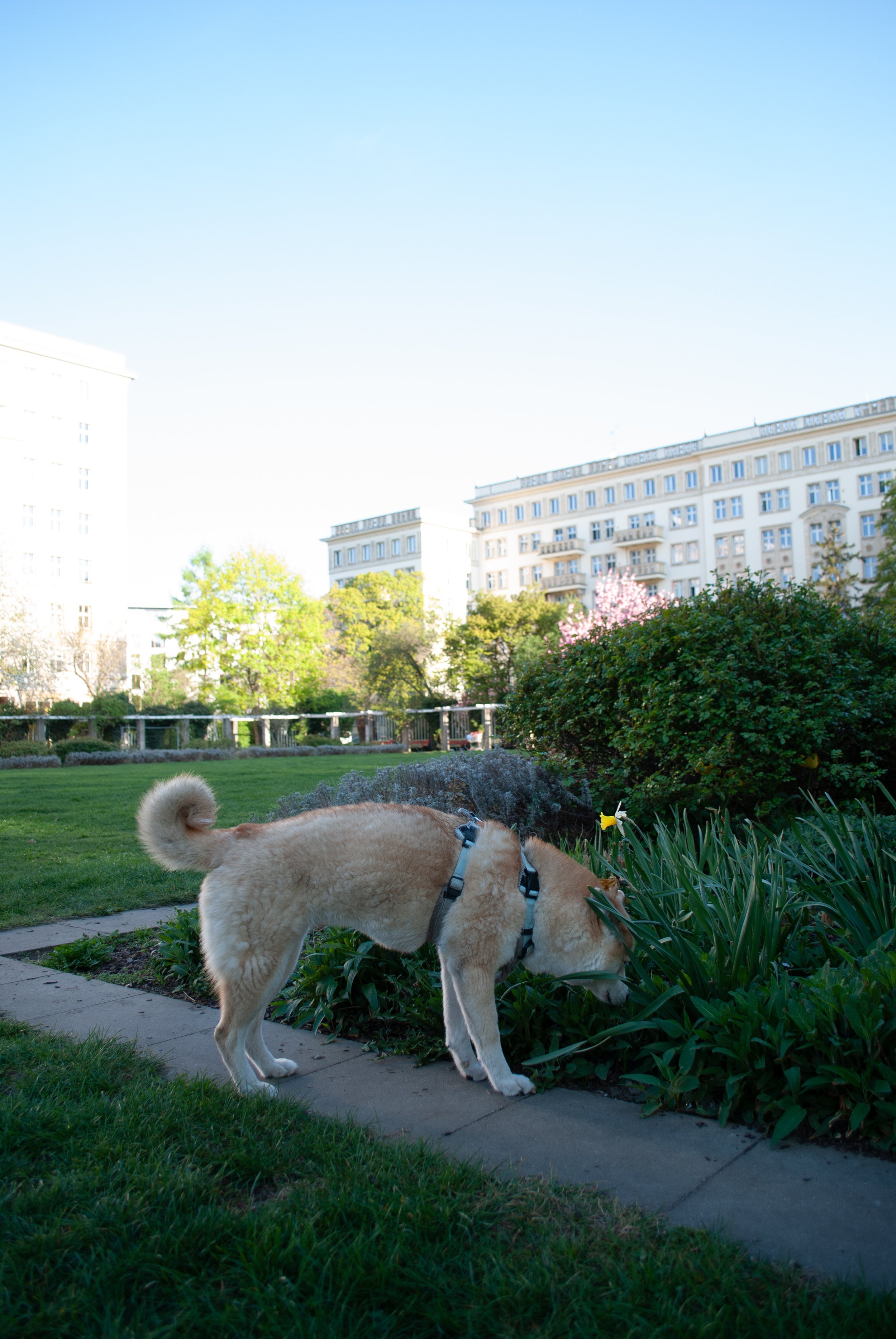 DSC_0382.jpg